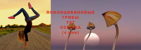 прущие крисы Нязепетровск
