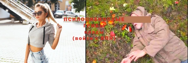 прущие крисы Нязепетровск