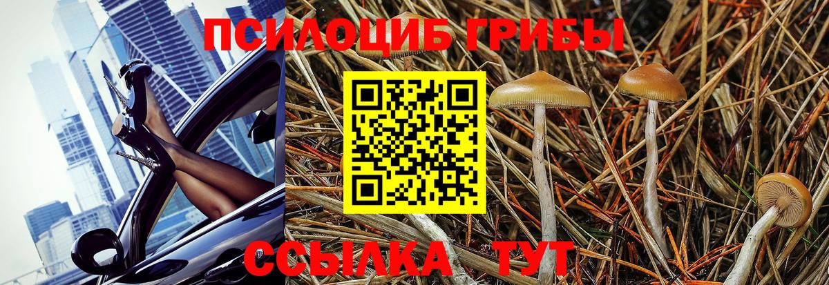 Галлюциногенные грибы мицелий Хабаровск